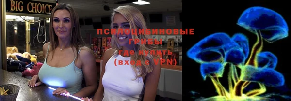 прущая мука Арсеньев