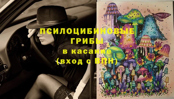 тгк Рославль