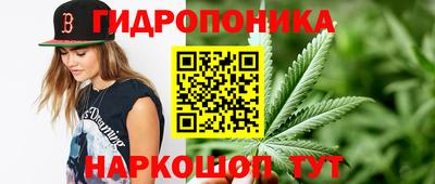 амф Кунгур