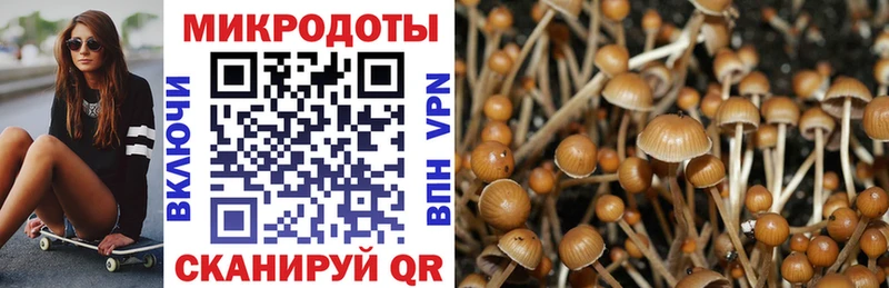 Галлюциногенные грибы MAGIC MUSHROOMS  мега как зайти  Домодедово 