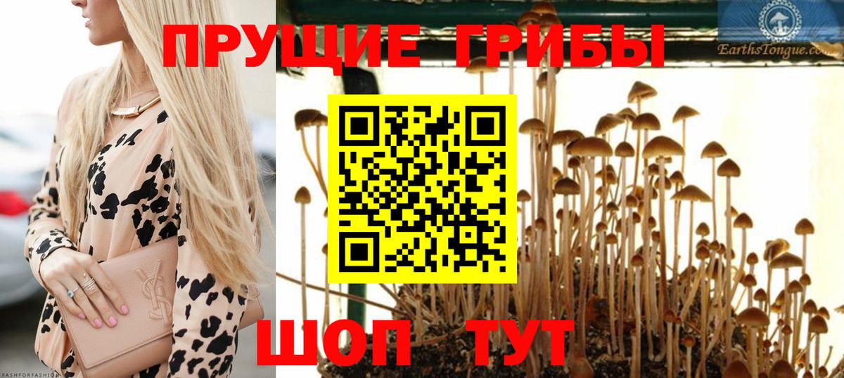 Галлюциногенные грибы GOLDEN TEACHER Домодедово